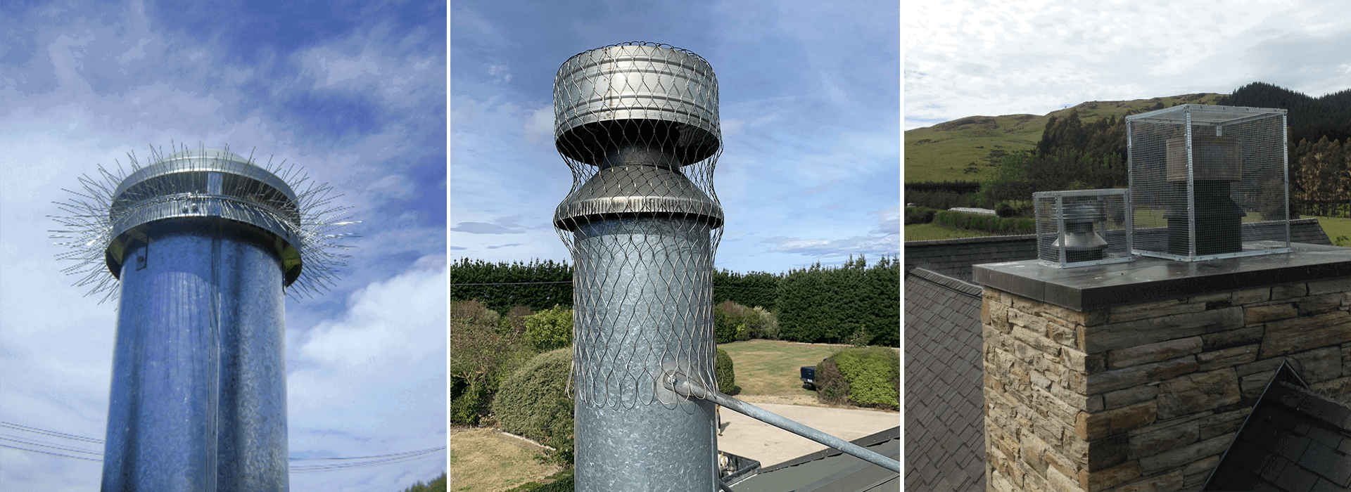 chimney bird proofing options