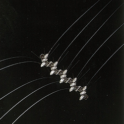 detsls product image